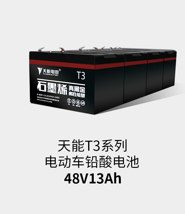通博TBETT3係列48v13ah