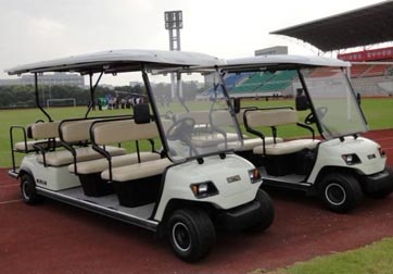 電動遊覽車用管式電池